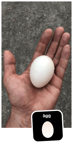 Ägg